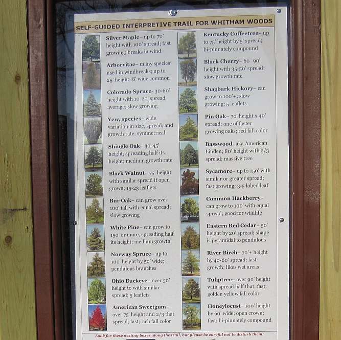 The kiosk for the Self-Guided Interpretive Trail in Whitham Woods.