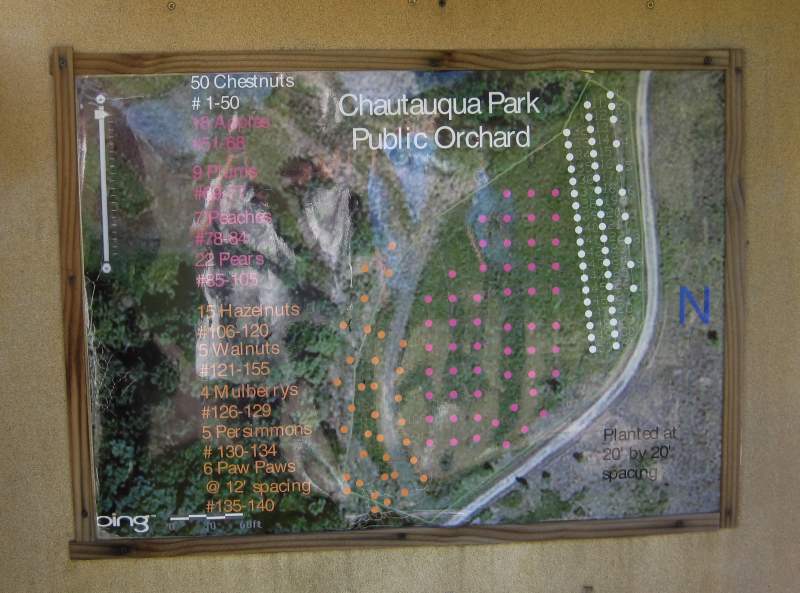 Chautauqua Park Public Orchard