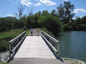 Bridge