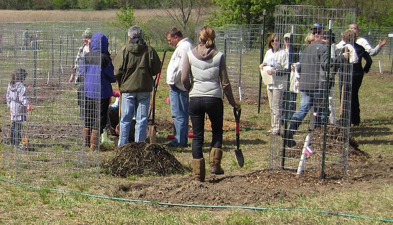 Earth Day Tree Planting