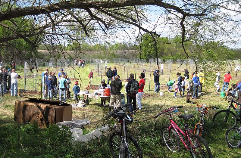 Earth Day Tree Planting