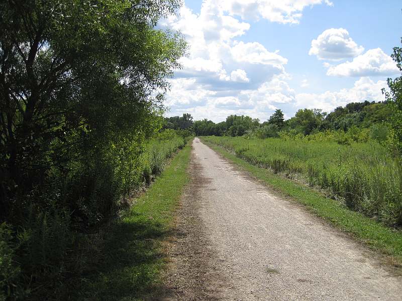 Along the Lamson Woods Trail