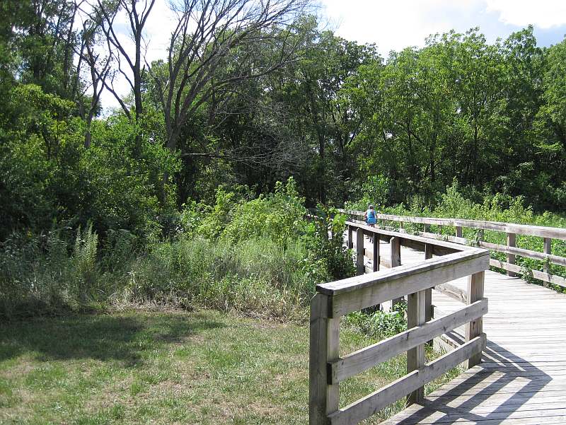 Along the Lamson Woods Trail