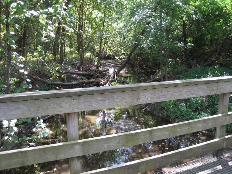 Along the Lamson Woods Trail