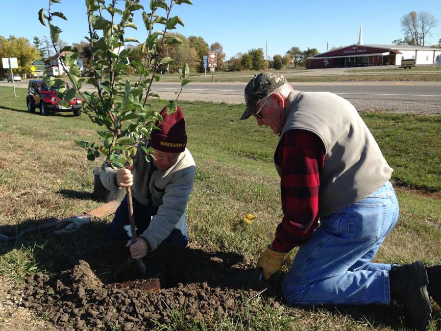 Planting trees