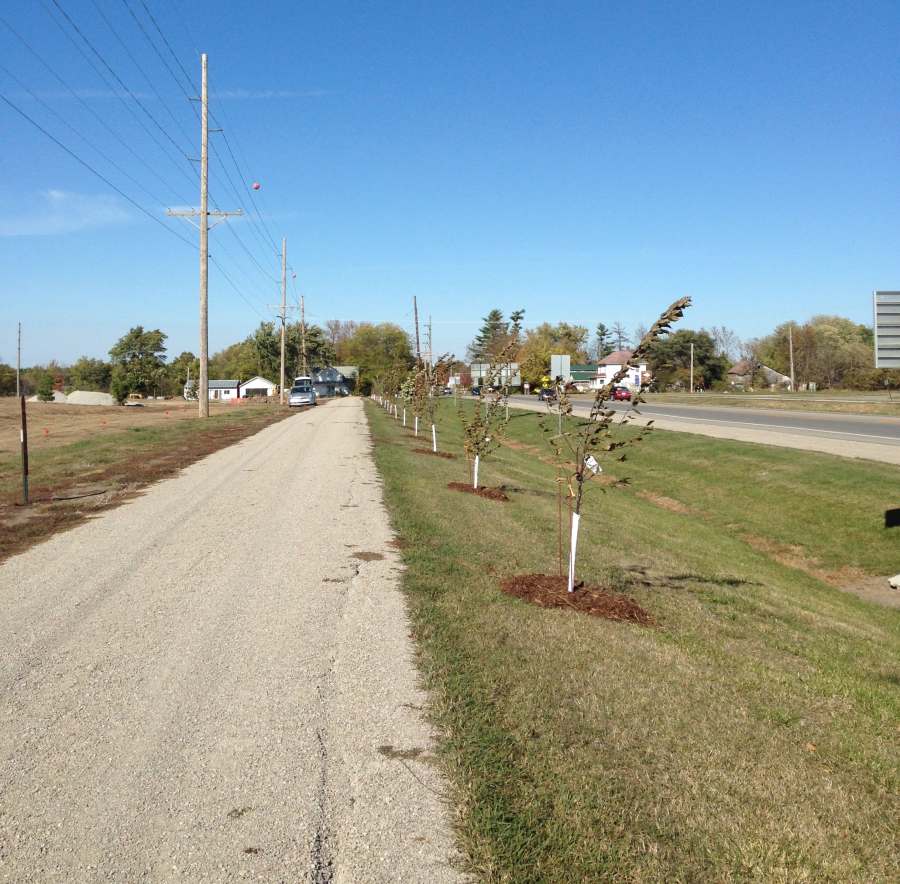 Planting trees