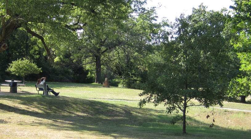 Relaxing in Whitham Woods.