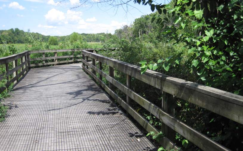 The Lamson Woods boardwalk.