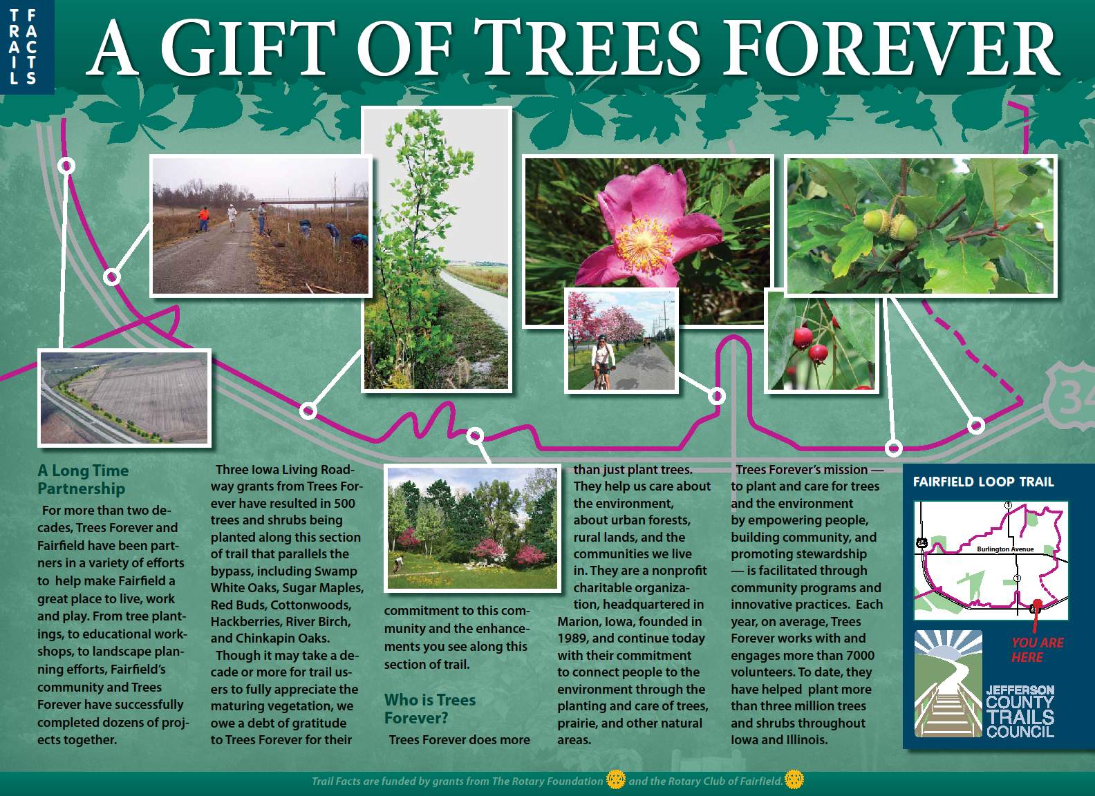 A Gift from Trees Forever, Oct 2014
