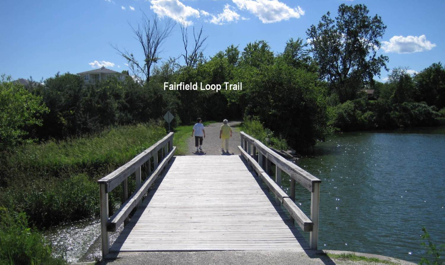 Trail Bridge