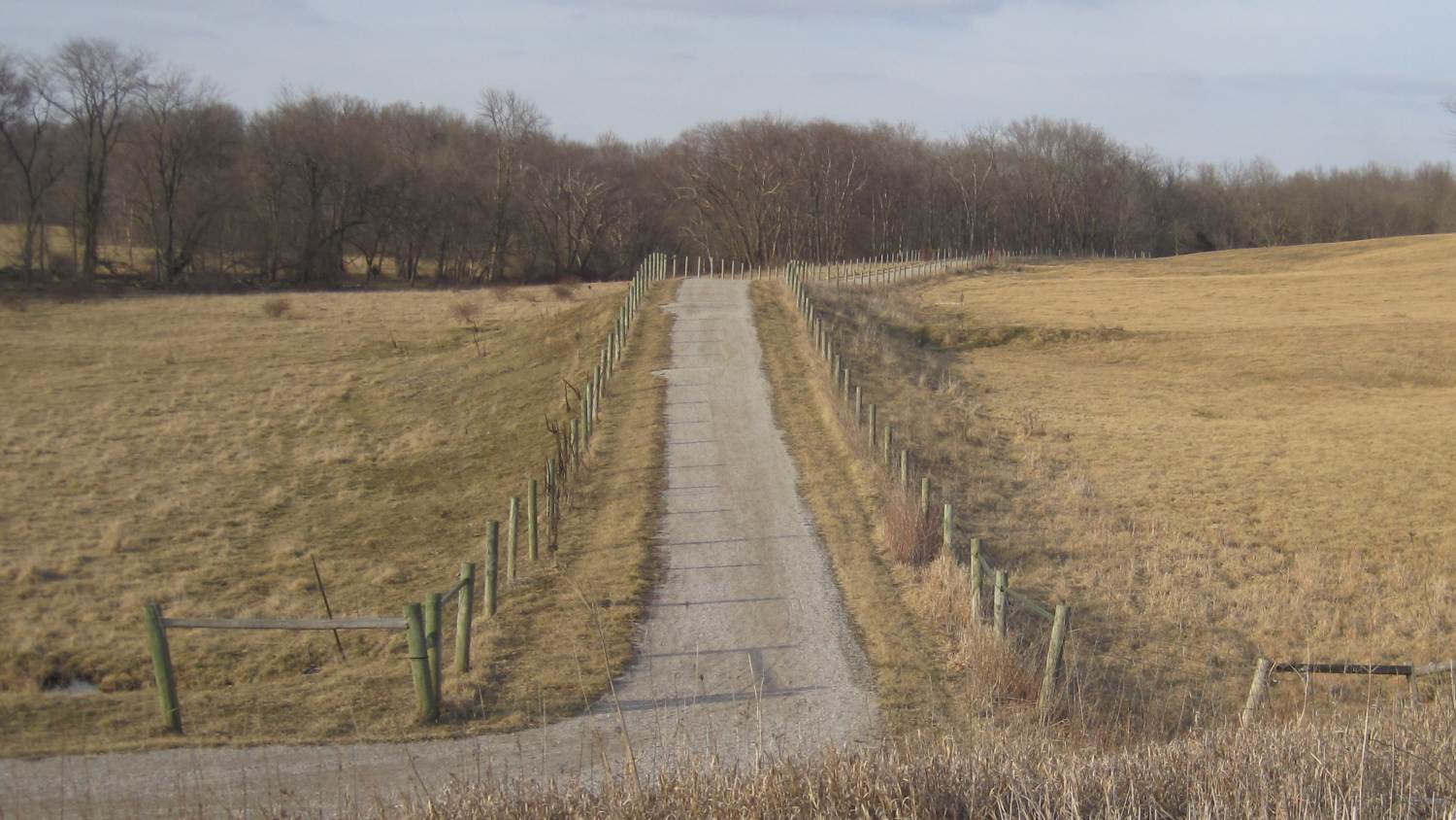 Trail on the old C B & Q roadbed, looking toward Whitham Woods