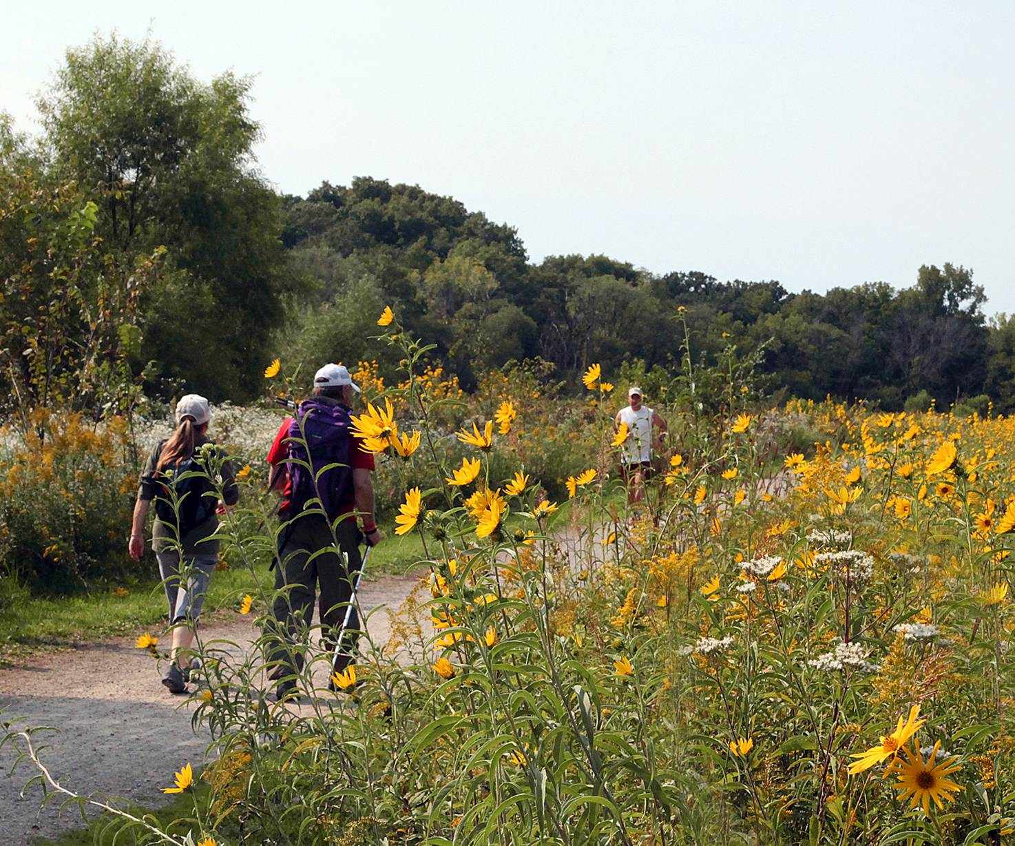 Loop Trail, near the Walking-only trail near Lamson Woods