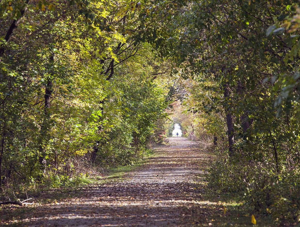 Loop Trails in the fall