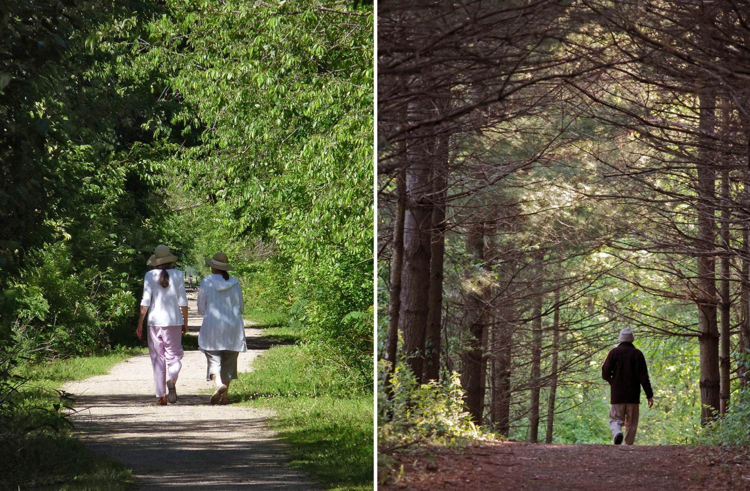 Walkers on the Trail