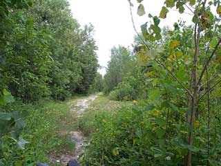 The trail before it was upgraded and improved.