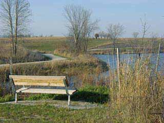 Looking north along the western shore of Lake Walton, just north of Walton Road