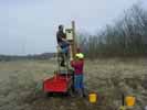 Wood Duck boxes