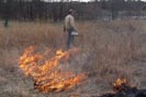 Prairie Burn