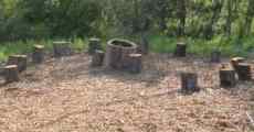 Stumps made into a rest area