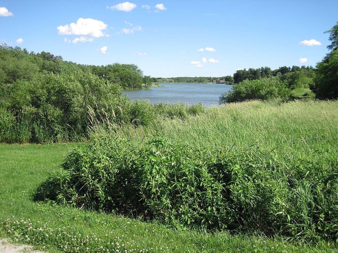 A grassy path goes around the lake.