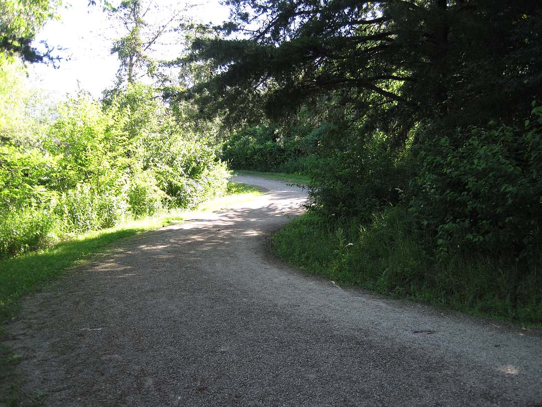 Entering the wooded section.