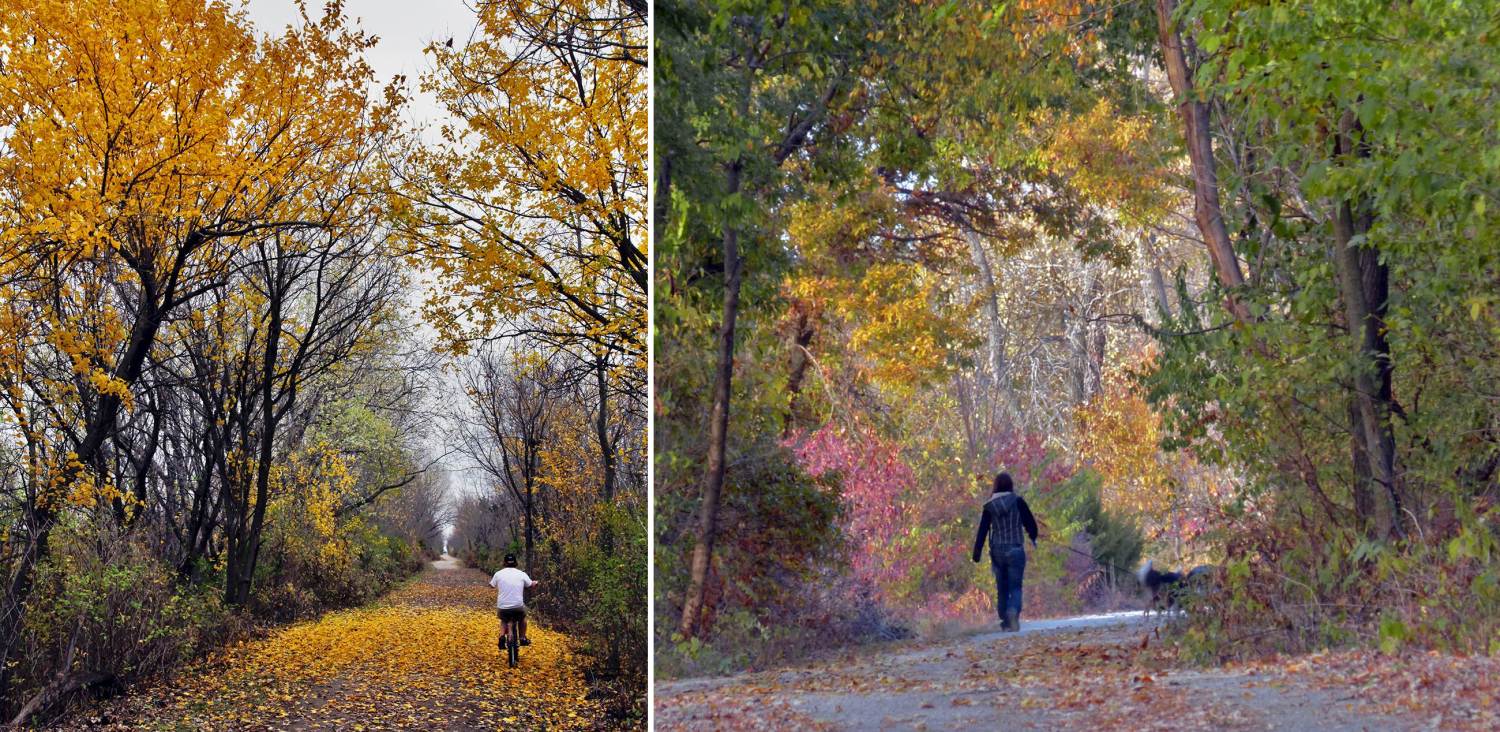The trail in autumn