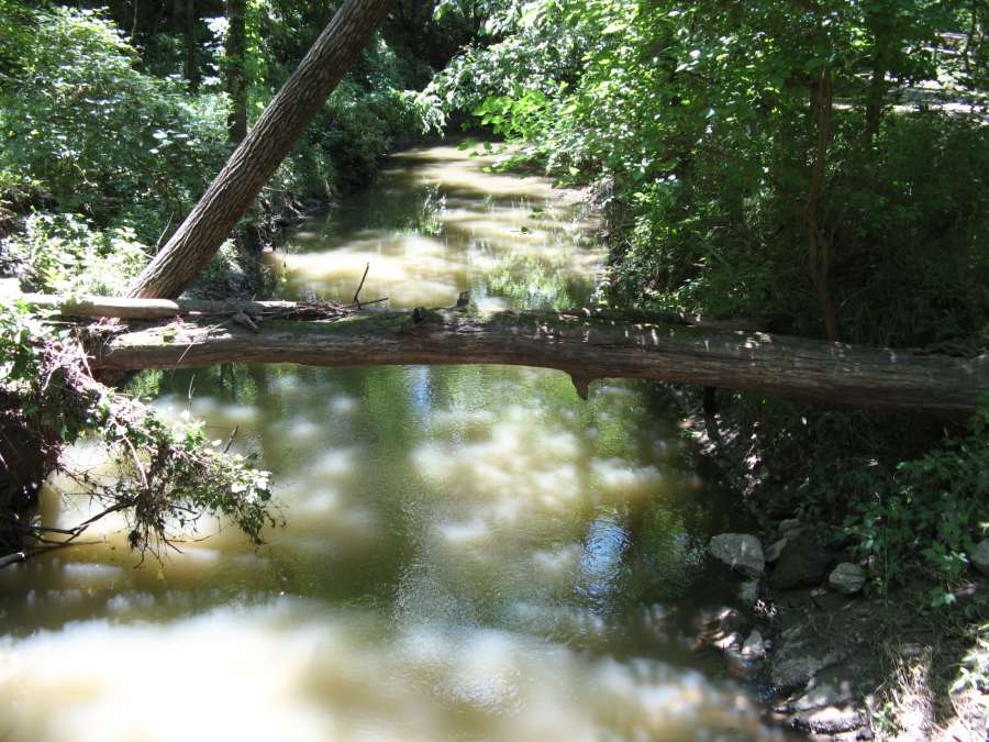 Along the Crow Creek segment