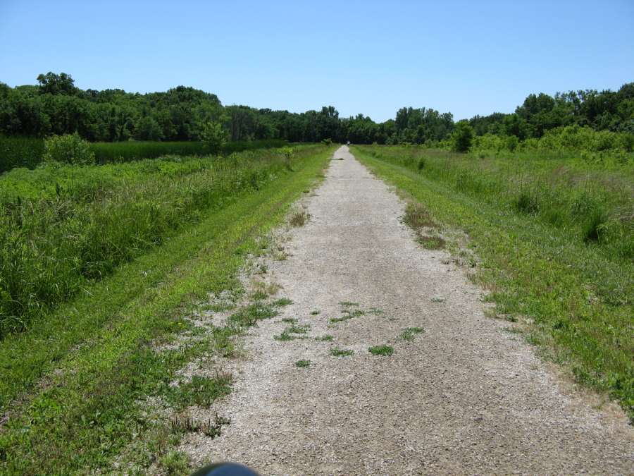 Along the Lamson Woods Trail