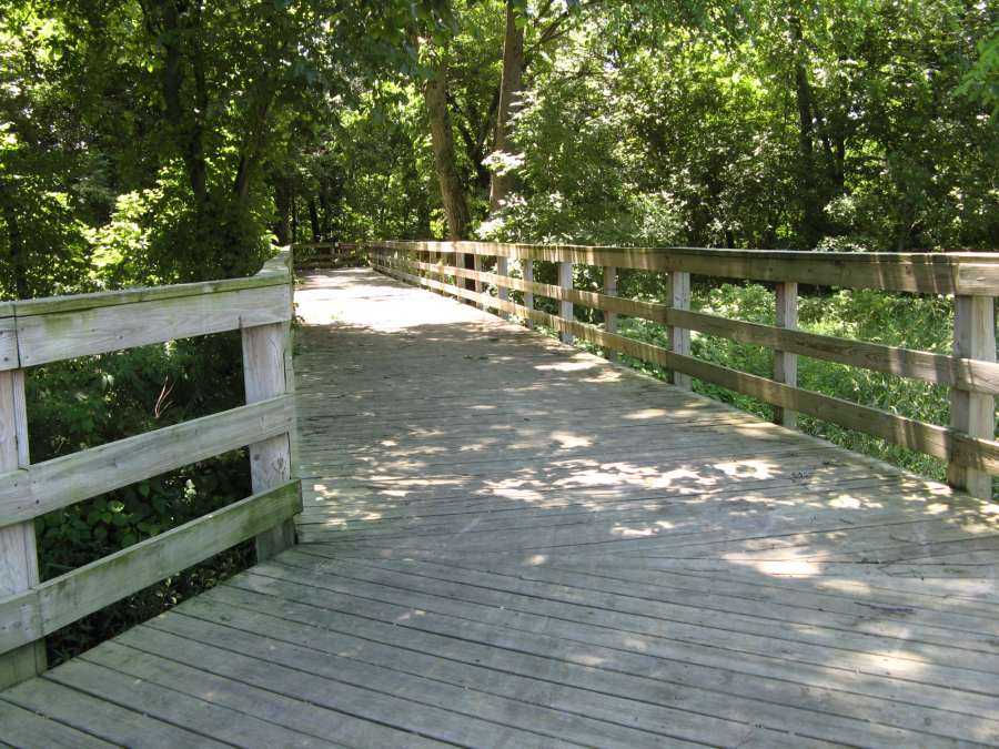 Along the Lamson Woods Trail