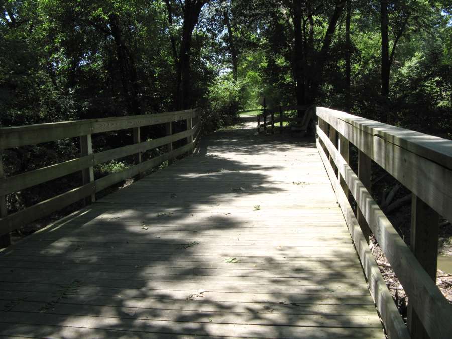 Along the Lamson Woods Trail