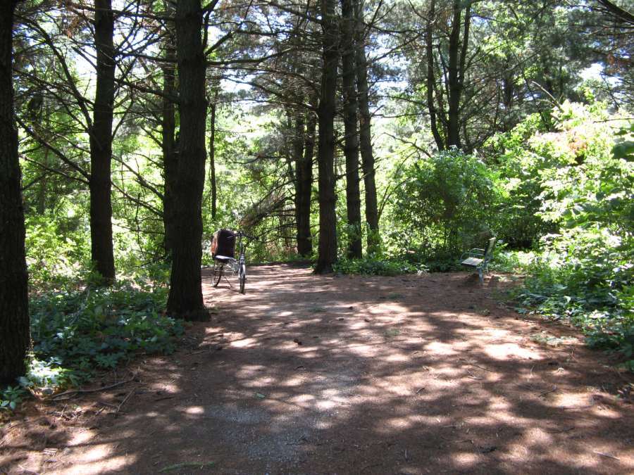 A bench for resting (to the right.