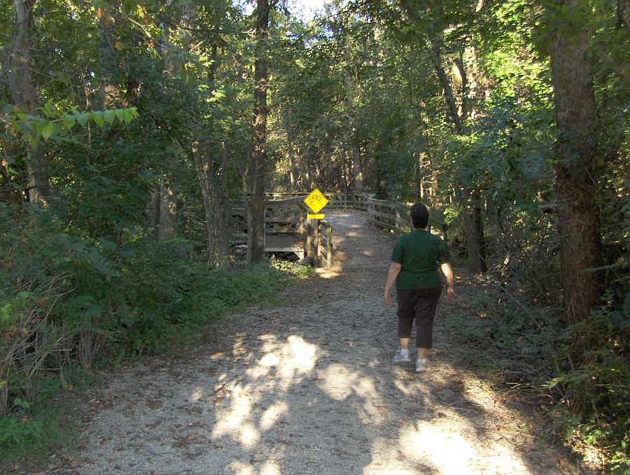 Lamson Woods Segment