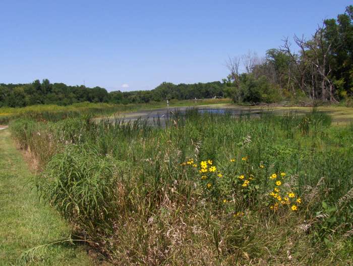 Lamson Woods Trail