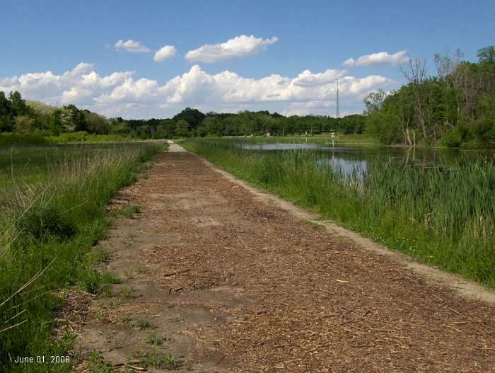 Further east along the dike trail.