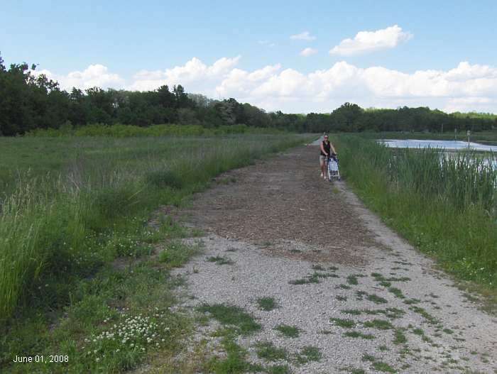 The Iowa DOT temporarily filled the holes with mulch.