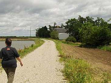 Iowa DOT Trail near Maasdam Barns