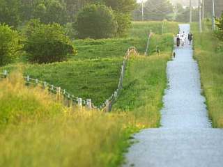 Looking east along the trail, east of Pleasant Plain Rd