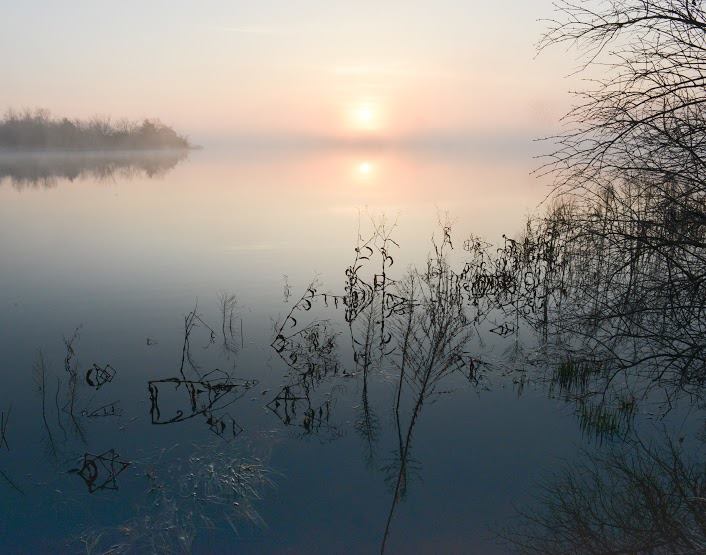 Jim Davis, winner of photography contest