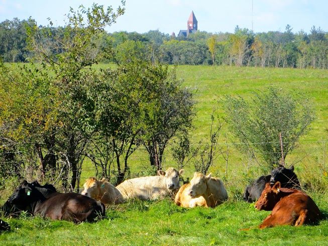 Congrats to calendar placing photo contestant John R Marble for his photo taken near Walton Lake