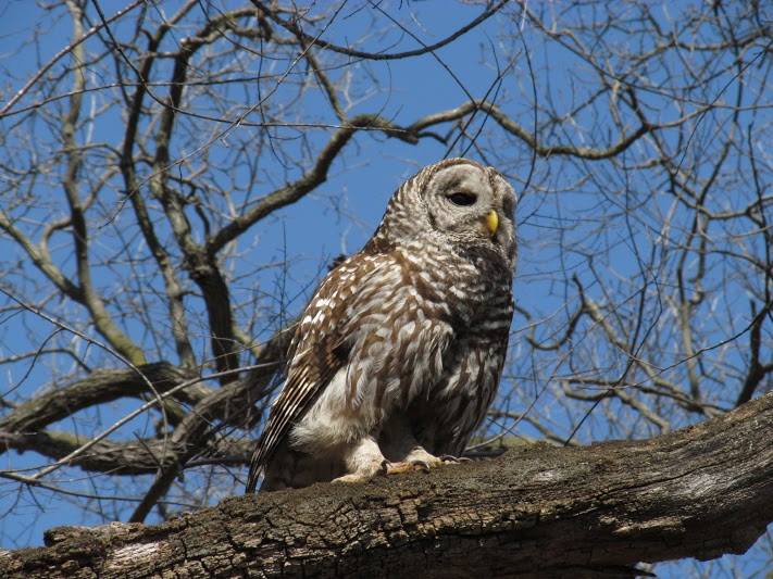 Ryan Smelcer is a calendar placing contestant who captured this lovely shot at the Loop Trail West of MUM Campus