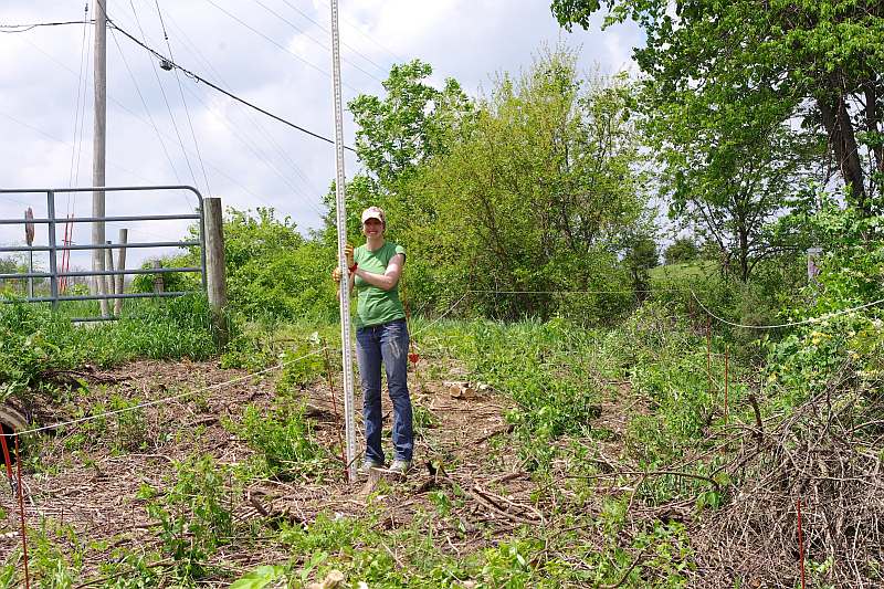 The ground for the bridge at Walton Road was surveyed in the spring, May 18, 2013.