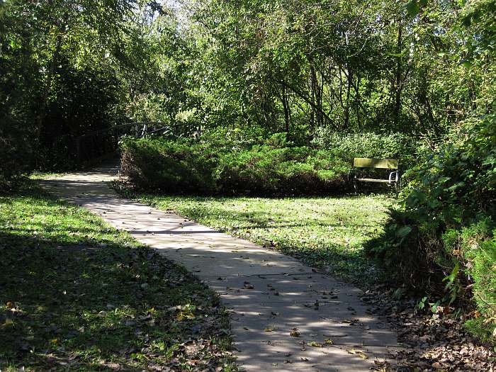 The playground is in a clearing to the left.