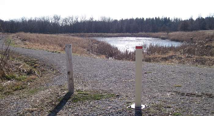 The trail around the pond