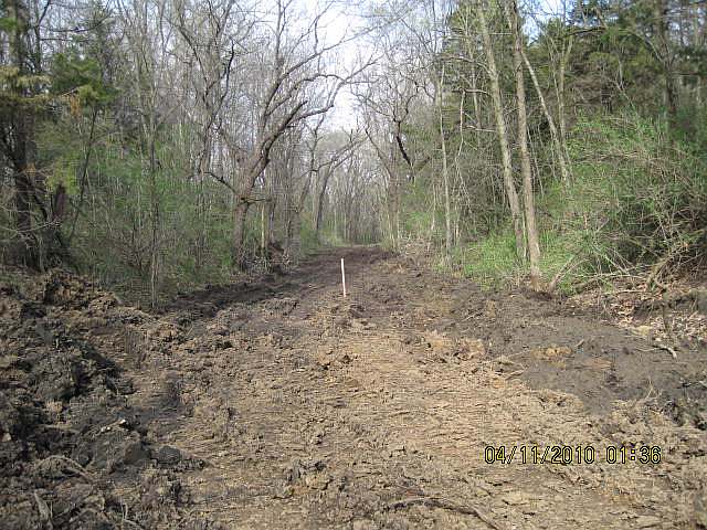 The north end of the pasture looking southeast on old railroad bed.