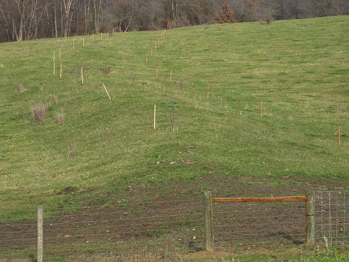 This is how the pasture looked before construction. The stakes show the old railroad bed. No trains have run here since 1901.