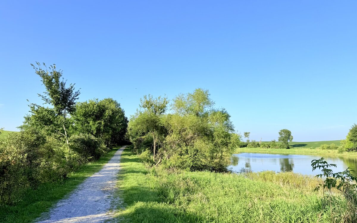 The trail running alongside a quiet pond